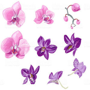 Meet your Posher, Reesa